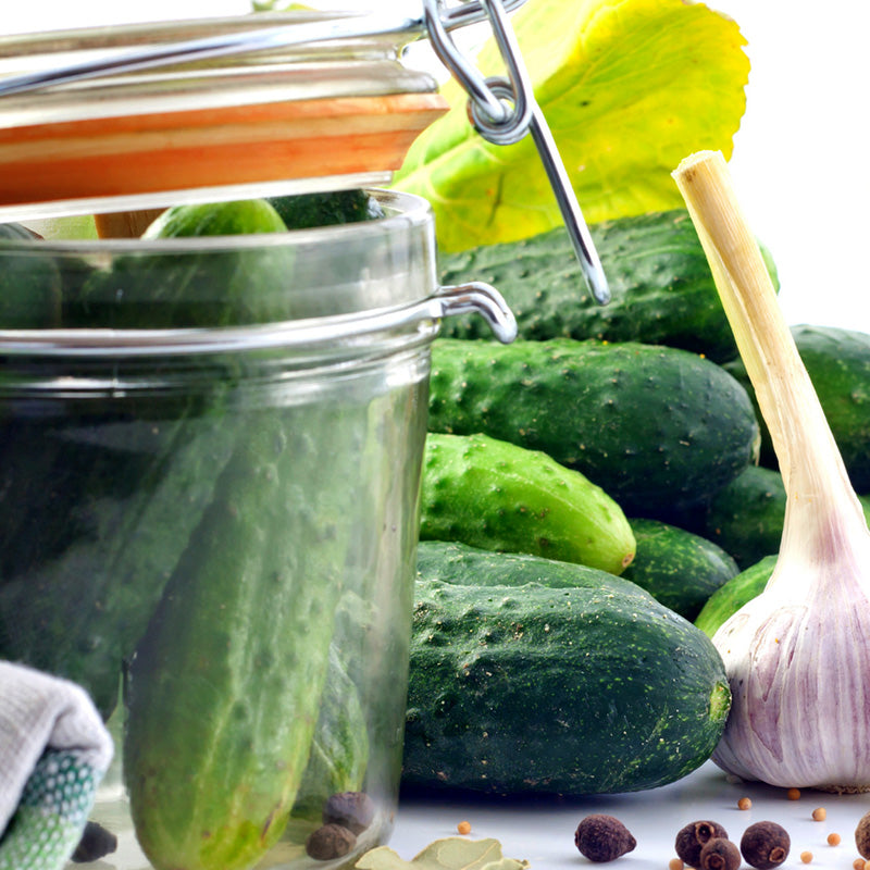 Quick Garlic & Dill Refrigerator Pickles – vomFASS Ghirardelli Square